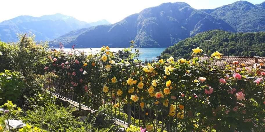Magic Garden With Jacuzzi-Pool And Luxury Lake Como View Lenno Exteriör bild