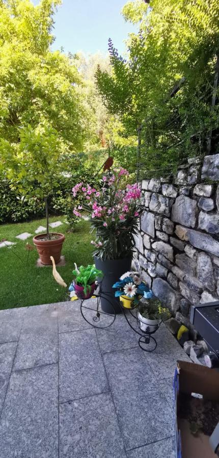 Magic Garden With Jacuzzi-Pool And Luxury Lake Como View Lenno Exteriör bild