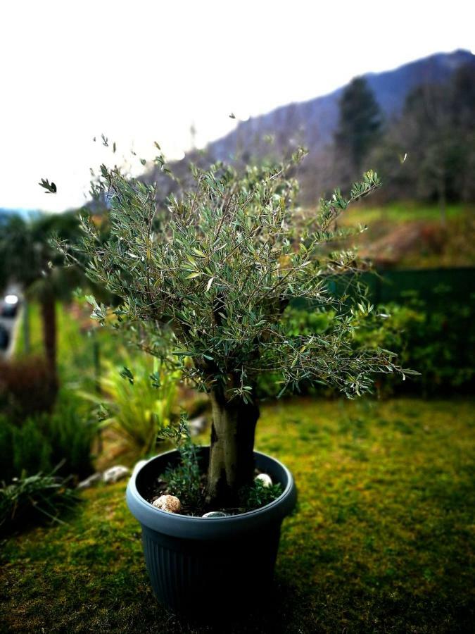 Magic Garden With Jacuzzi-Pool And Luxury Lake Como View Lenno Exteriör bild